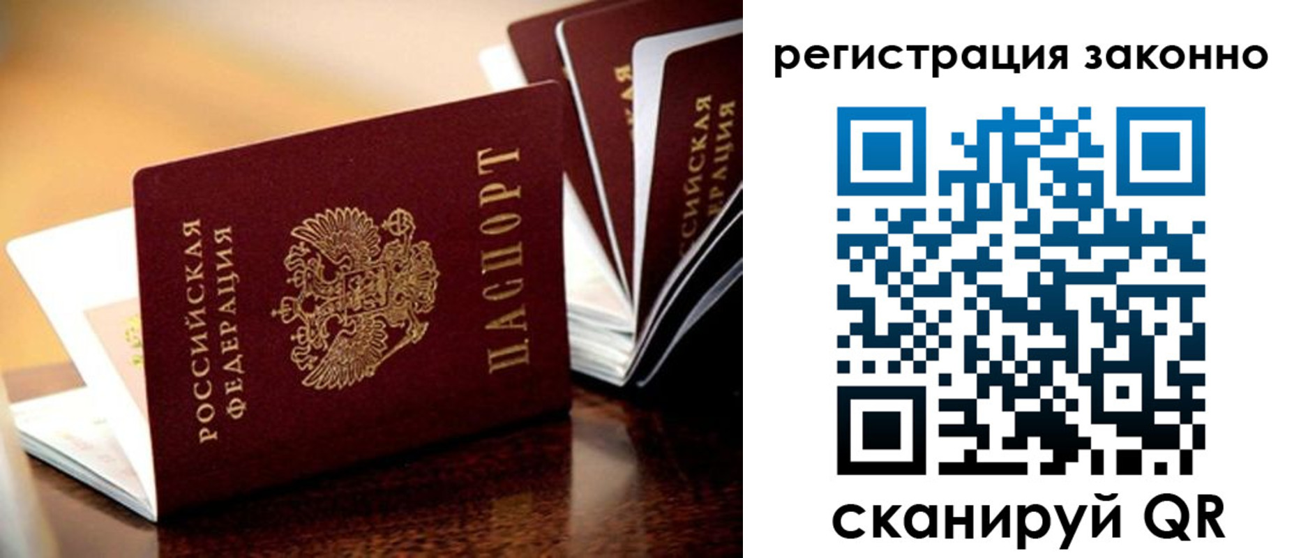 прописка для школы в Пионерском